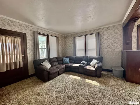 201 E Alder Rd, Canton, IL 61520 photo 7