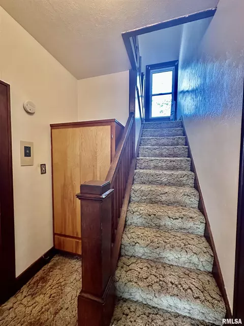 201 E Alder Rd, Canton, IL 61520 photo 27