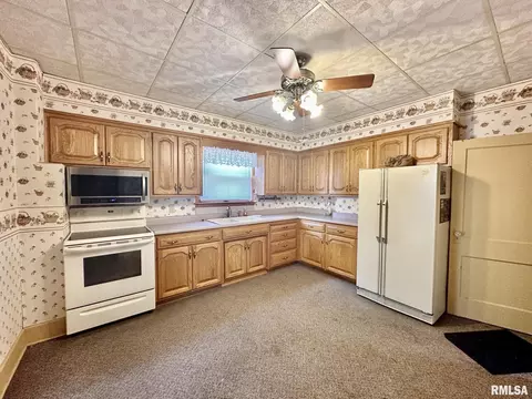 201 E Alder Rd, Canton, IL 61520 photo 19