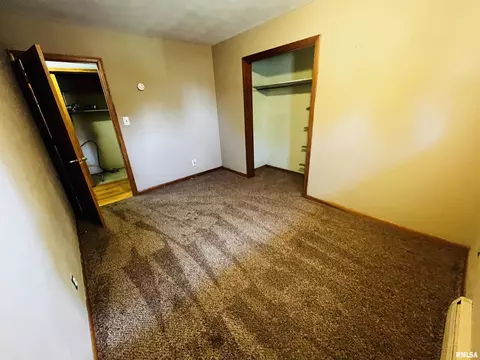 910 Carter St, Fairview, IL 61432 photo 13