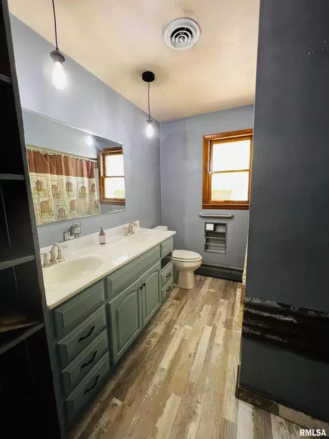 910 Carter St, Fairview, IL 61432 photo 12