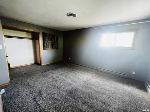 910 Carter St, Fairview, IL 61432 photo 16
