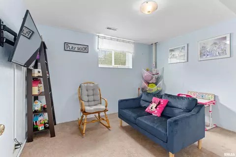 8143 N Blackbridge Rd, Edwards, IL 61528 photo 30