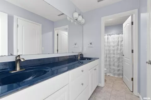 308 Windsor Dr, Germantown Hills, IL 61548 photo 47