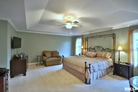 2203 W Dover Ct, Dunlap, IL 61525 photo 24