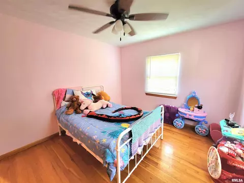 75 Edmar Dr, Canton, IL 61520 photo 37
