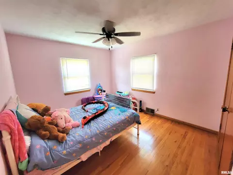 75 Edmar Dr, Canton, IL 61520 photo 35
