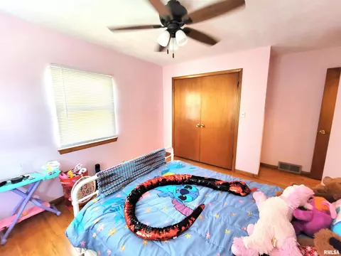 75 Edmar Dr, Canton, IL 61520 photo 36