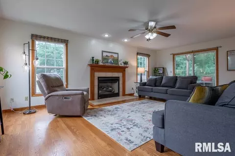 10416 W Prince Valiant Ct, Mapleton, IL 61547 photo 13