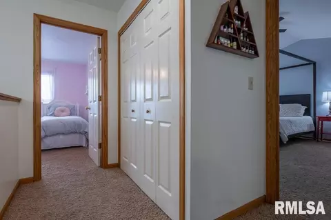 10416 W Prince Valiant Ct, Mapleton, IL 61547 photo 26