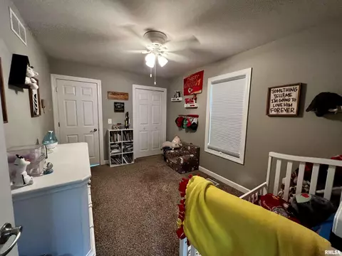 10 Hickory Grv, Macomb, IL 61455 photo 17