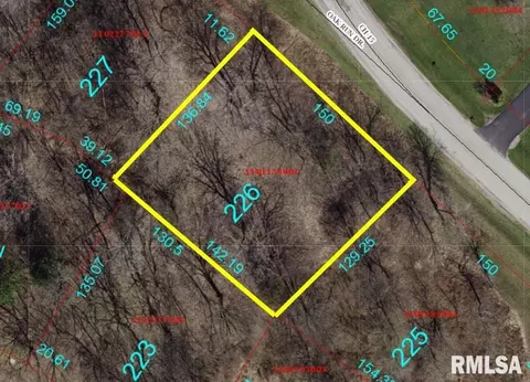 7226 Oak Run Dr, Dahinda, IL 61428