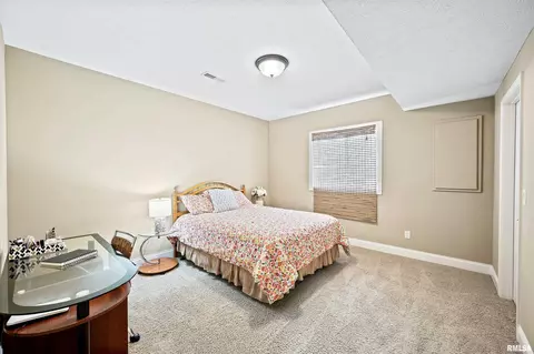 2209 Tyler Trl, Bloomington, IL 61705 photo 49