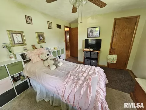 104 N 3rd St, Roanoke, IL 61561 photo 5