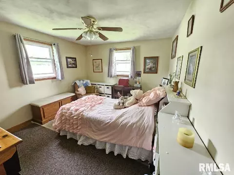 104 N 3rd St, Roanoke, IL 61561 photo 6
