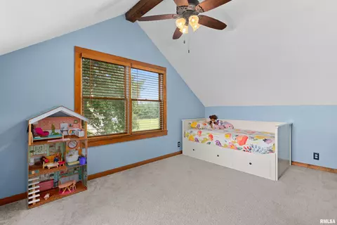 896 Banta Rd, Lowpoint, IL 61545 photo 34