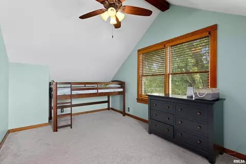 896 Banta Rd, Lowpoint, IL 61545 photo 38