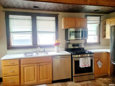 252 Howard Pl, Canton, IL 61520 photo 15