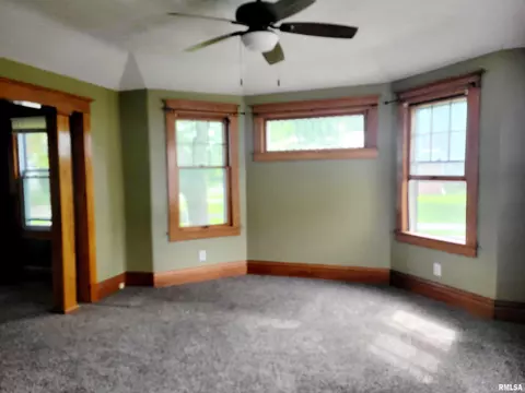 252 Howard Pl, Canton, IL 61520 photo 10