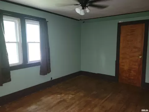 252 Howard Pl, Canton, IL 61520 photo 25