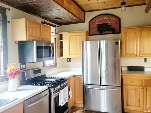 252 Howard Pl, Canton, IL 61520 photo 13