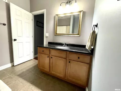 11618 N Glenshire Dr, Dunlap, IL 61525 photo 39