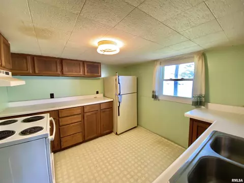 929 E Chestnut St, Canton, IL 61520 photo 5