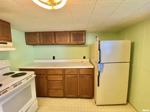 929 E Chestnut St, Canton, IL 61520 photo 6