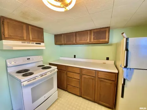 929 E Chestnut St, Canton, IL 61520 photo 7