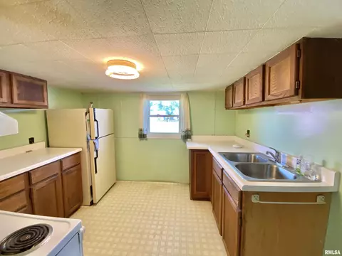 929 E Chestnut St, Canton, IL 61520 photo 4