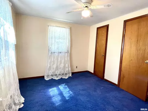 2603 W Main St, Edelstein, IL 61526 photo 24