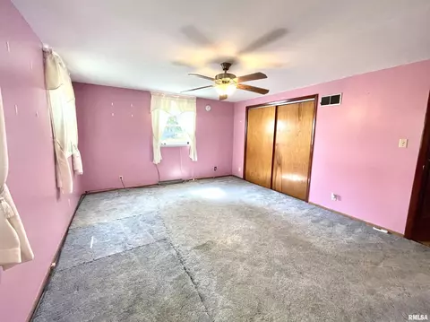 2603 W Main St, Edelstein, IL 61526 photo 27