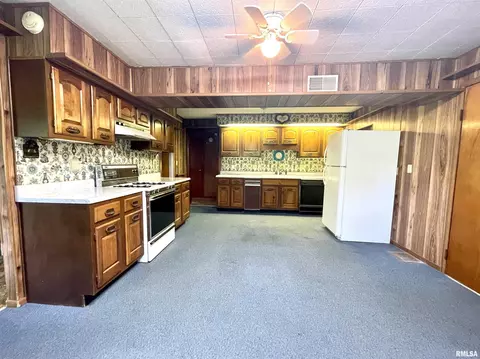 2603 W Main St, Edelstein, IL 61526 photo 14