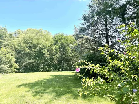 2603 W Main St, Edelstein, IL 61526 photo 43