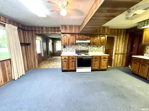 2603 W Main St, Edelstein, IL 61526 photo 17