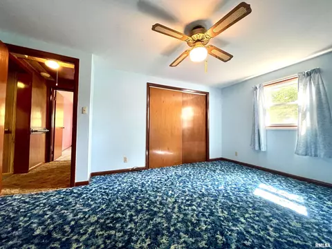 2603 W Main St, Edelstein, IL 61526 photo 19