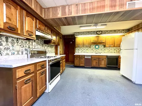 2603 W Main St, Edelstein, IL 61526 photo 16