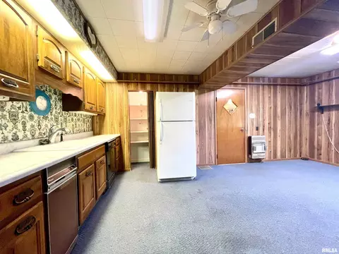 2603 W Main St, Edelstein, IL 61526 photo 15