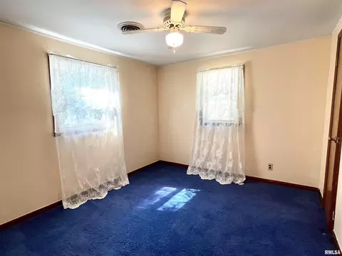 2603 W Main St, Edelstein, IL 61526 photo 23