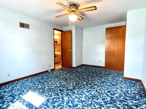 2603 W Main St, Edelstein, IL 61526 photo 20