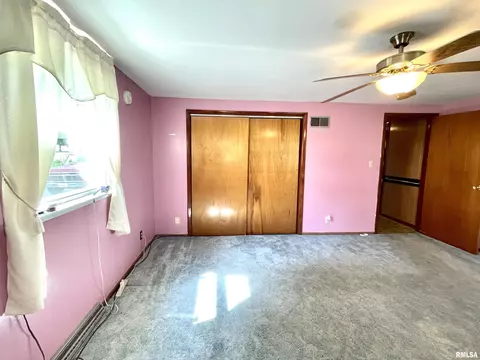 2603 W Main St, Edelstein, IL 61526 photo 25