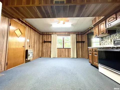 2603 W Main St, Edelstein, IL 61526 photo 18