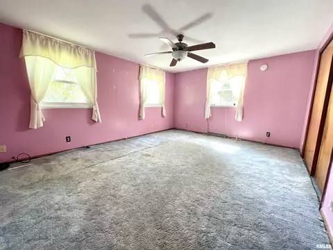 2603 W Main St, Edelstein, IL 61526 photo 26