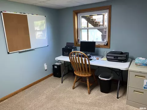 202 Elm Cir, Eureka, IL 61530 photo 31
