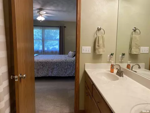 202 Elm Cir, Eureka, IL 61530 photo 19