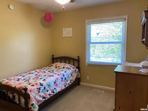 202 Elm Cir, Eureka, IL 61530 photo 21