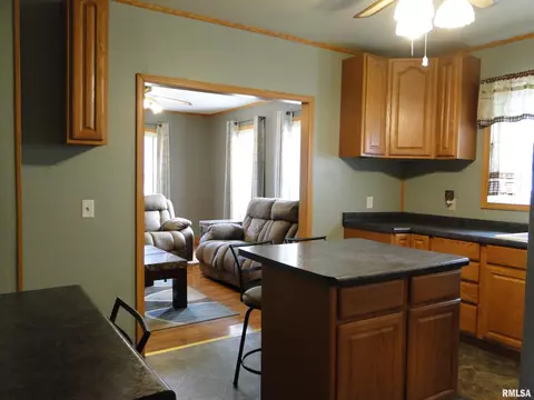 305 Maple St, Augusta, IL 62311 photo 11