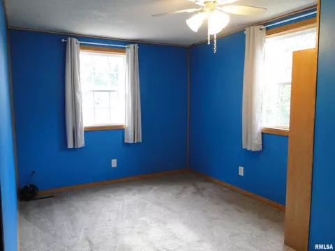 305 Maple St, Augusta, IL 62311 photo 13