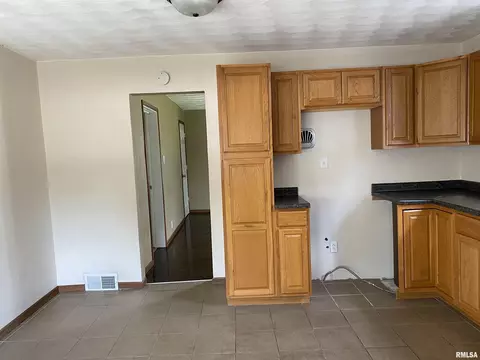 716 E Locust St, Canton, IL 61520 photo 18