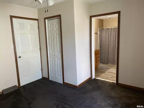 716 E Locust St, Canton, IL 61520 photo 29